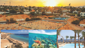sharm