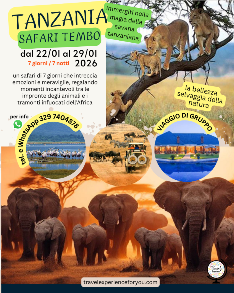 Safari in Tanzania
